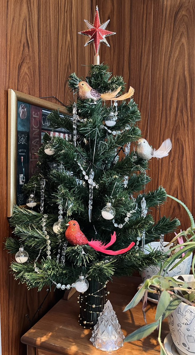 brandy_doc's tweet image. Муж не хотел ёлку, а я как-то не смогла, 
ну как совсем без ёлки-то

Собрала ёлку на балконе, у меня там кабинет образовался, будет и ёлка тож там) а мужу там почти не видно)