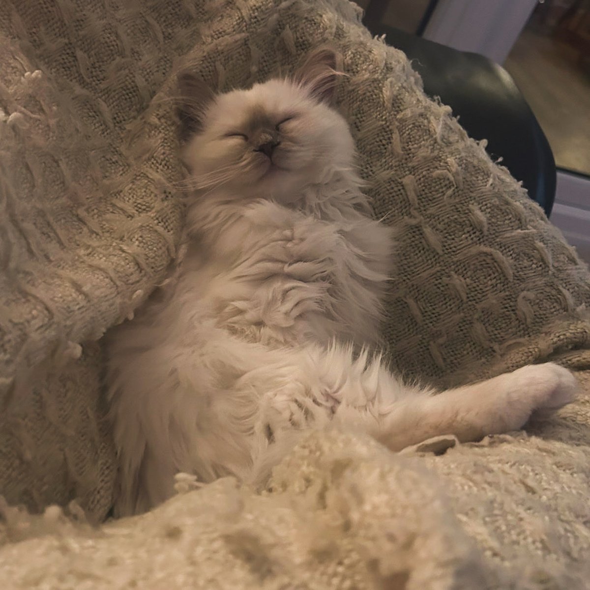 Ben PADAMs 🏳️‍🌈🏳️‍⚧️ tweet media