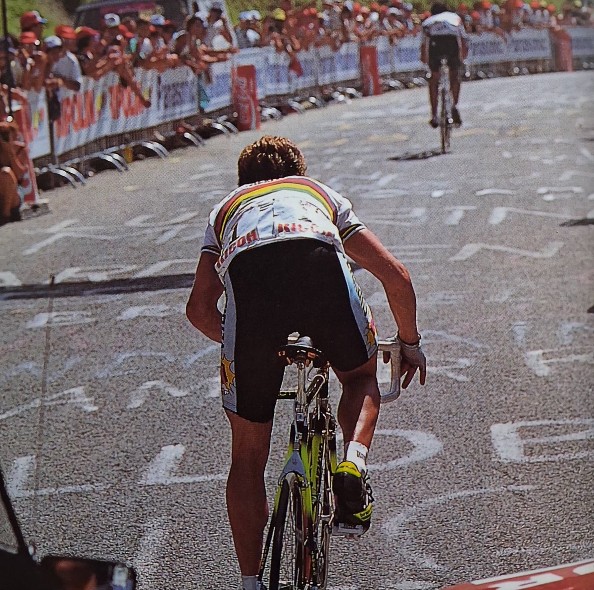 cycling archives tweet media