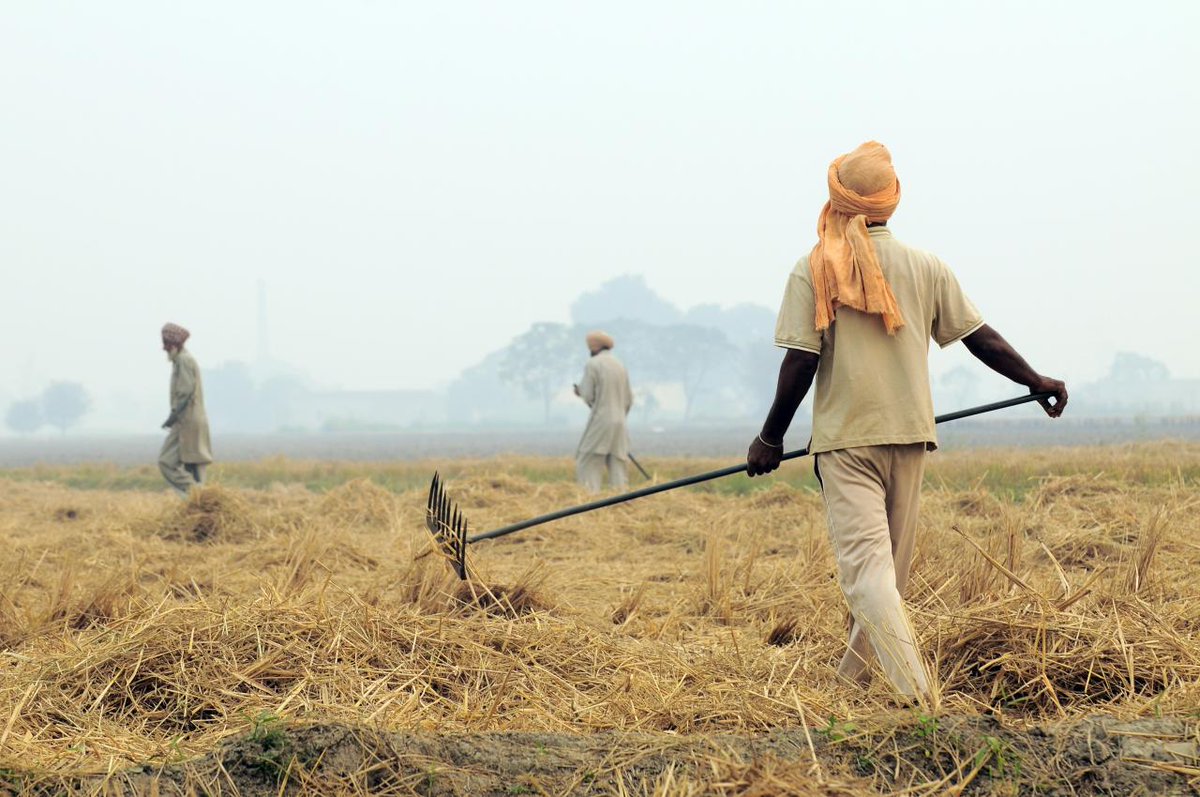 Earth5R tweet media