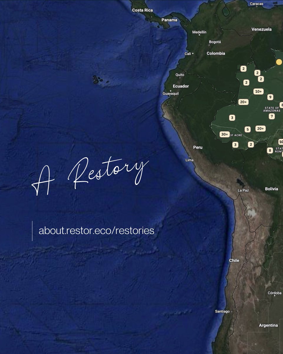 Restor_eco's tweet photo. Instituto Felinos do Aguaí monitored the quiet movements of wild cats inside the Aguaí State Biological Reserve. Top predators only survive where forests are healthy &amp; connected, revealing where land needs care.

Read our latest and final Restory 2025: https://t.co/6XoUg59JLg https://t.co/9tnNzVg0Sh