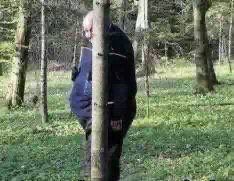 نايف بن حمد 🇸🇦 tweet media