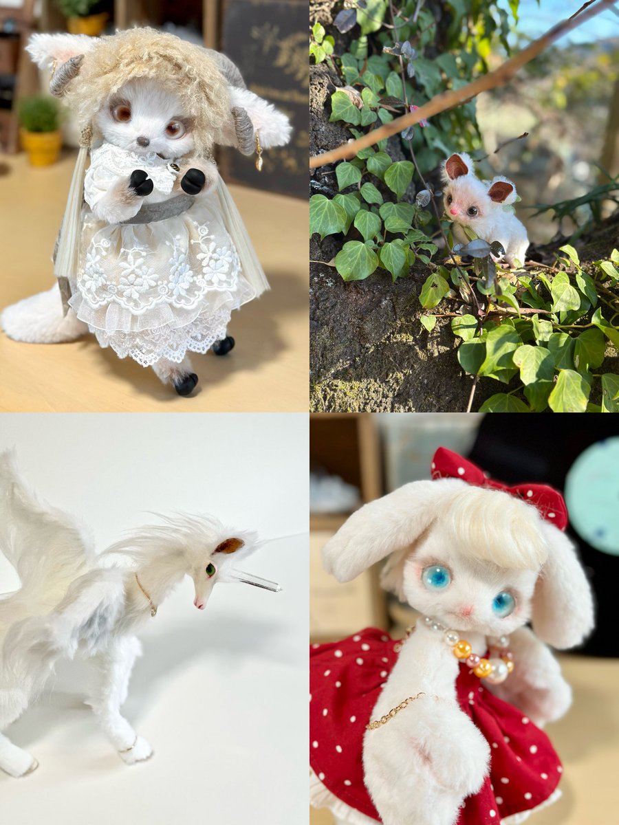 まめこ (@Mamekonokomame) / Posts / X