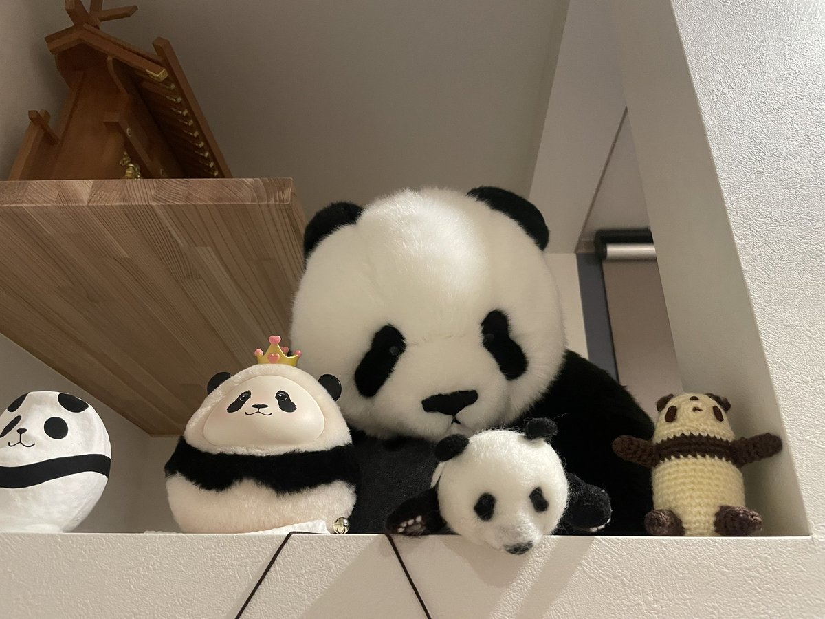 本日仕事納めしました
🐼先生は大掃除したり
途中遊んだりとても楽しそうな1日でした
パン活のお友達
ヘッドスパのお客様
私にとってはとても重要で貴重な年になりました
でも🐼先生と仲間たち
それと皆様がいたから
元気に年末を迎えることが出来ました
ありがとうございます😊
皆様も良いお年を🐴