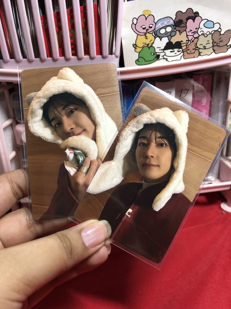 banxmgs's tweet photo. wts lfb seventeen.ᐟ #banxmgscartsells

✶—꒰ WONWOO TYPE B DICON POB PHOTOCARD SET ꒱
╰ ₱750
🍓Onhand | PAYO | Manila
🚚 JNT GGX SDD

t. svt scoups jeonghan joshua jun hoshi woozi dino dk th8 vernon seungkwan ph gyu won meanie pola white midnight mingyu wonu N°26 hot pack https://t.co/pa8CLM9yAJ