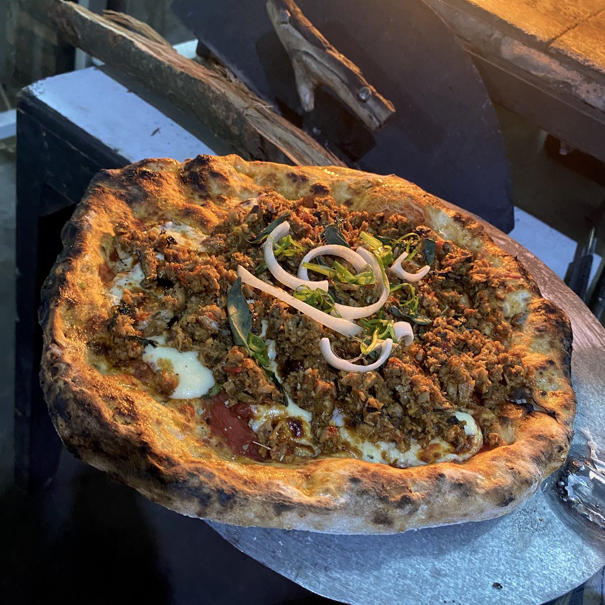 🏰🪸 tweet media