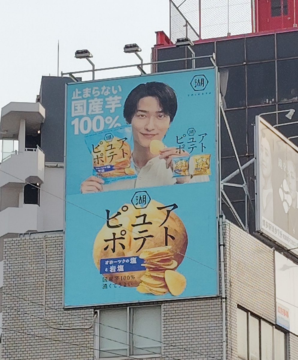 ピュアポテト 横浜流星　販促物　ポスター　ボード ピュアポテト 横浜流星 販促物 ポスター ボード 横浜流星さん 【ピュア