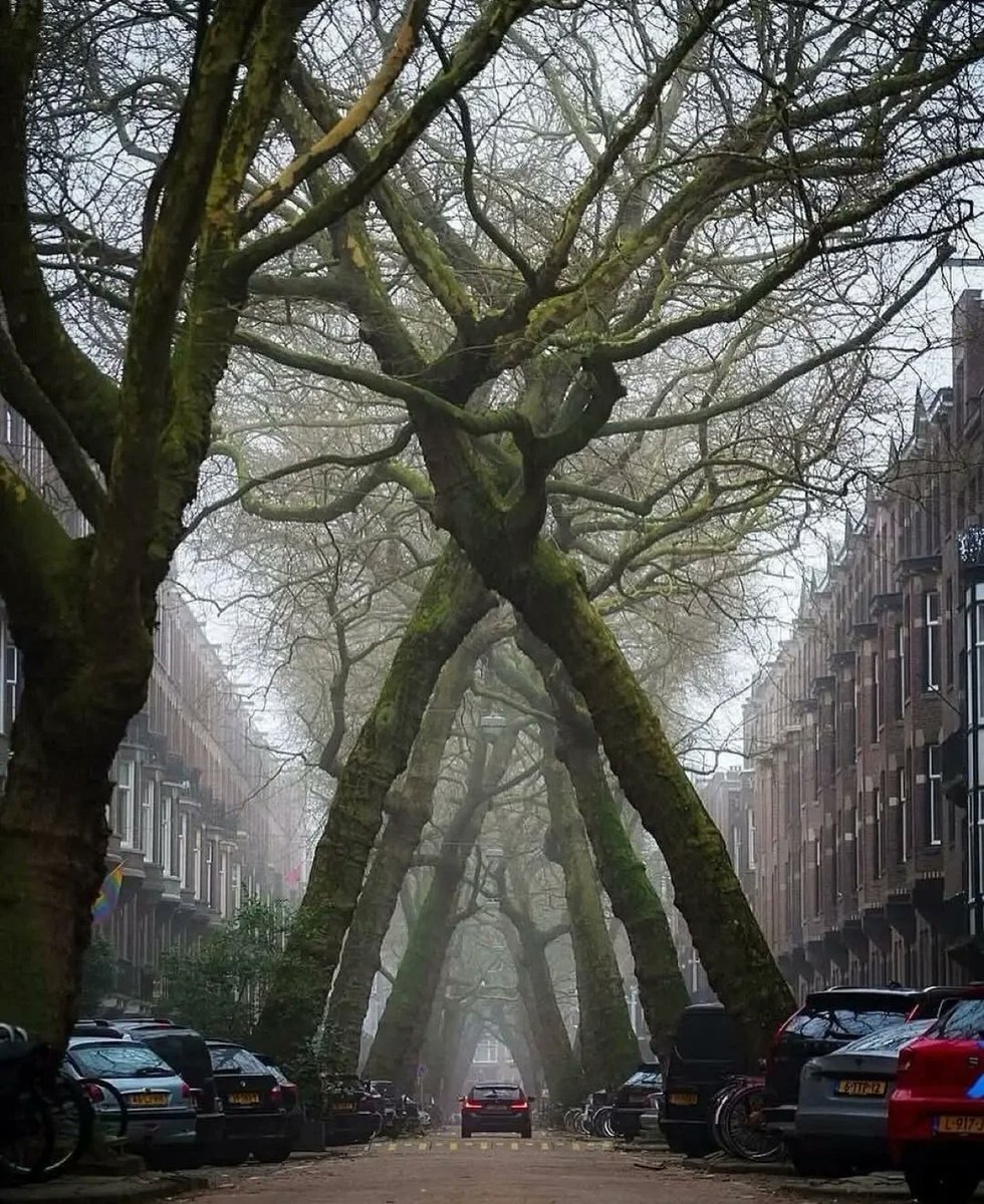 Science girl tweet media