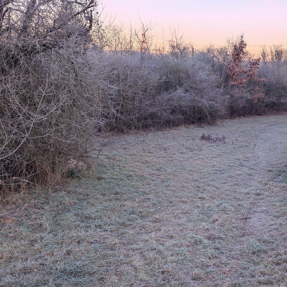 Einen schönen winterlichen Dienstag euch 🤗

Letzter Dienstag des Jahres und wir haben draußen eigentlich wundervolles Wetter. Kühl, aber trocken, was eine angenehme Zeit ist für einen Spaziergang draußen ❄️

Lasst es euch gut gehen 😊