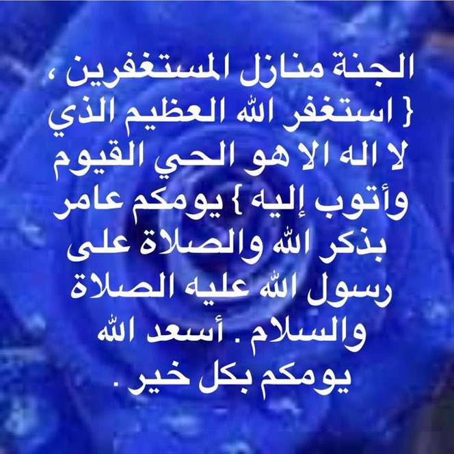 🦋Hosam Ashraf🦋 tweet media