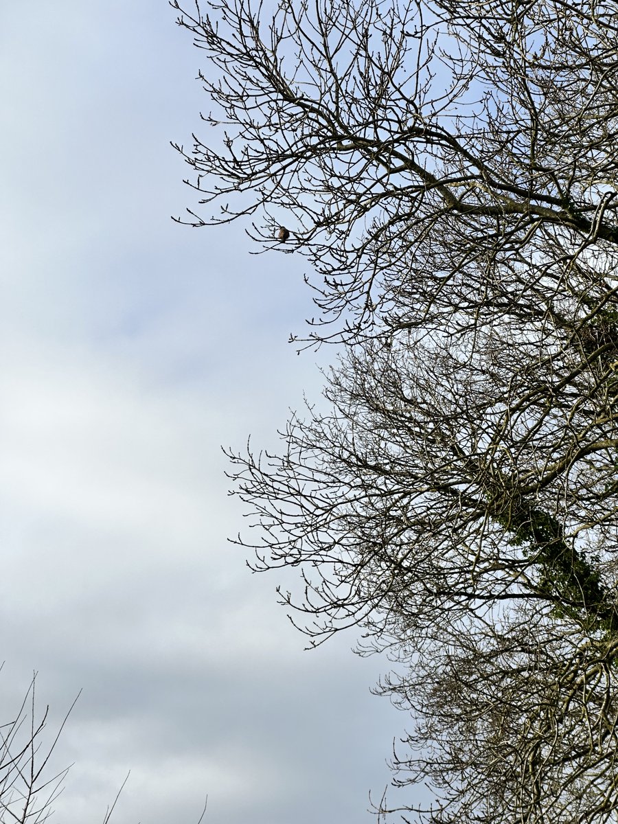 Roadhills.   A spy in the sky.