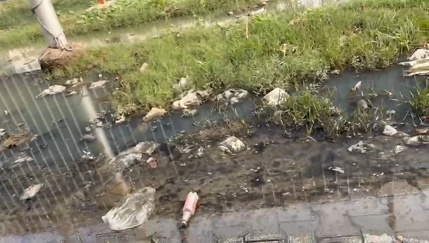 Ajit Sharma tweet media