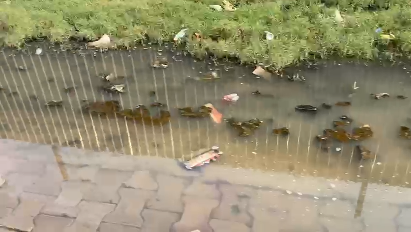 Ajit Sharma tweet media