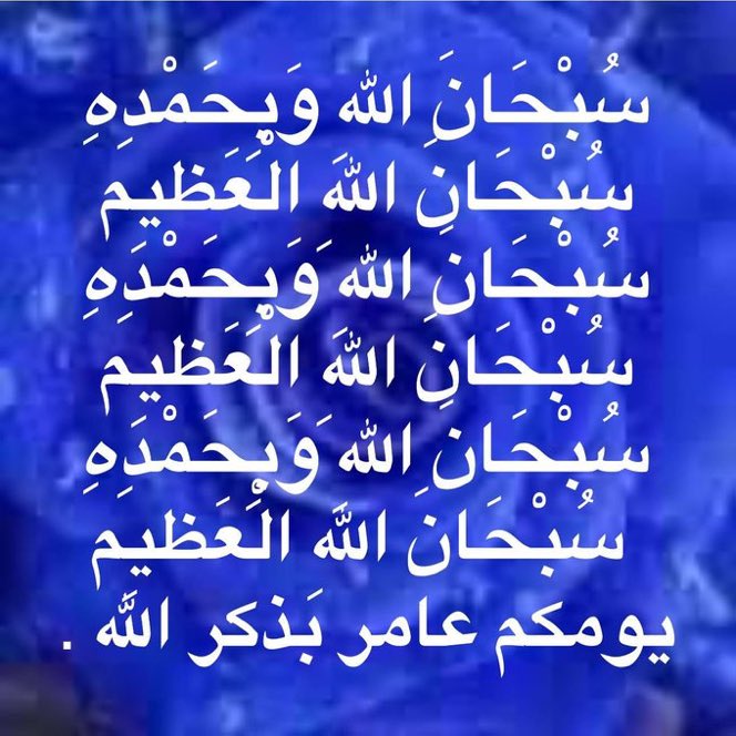🦋Hosam Ashraf🦋 tweet media