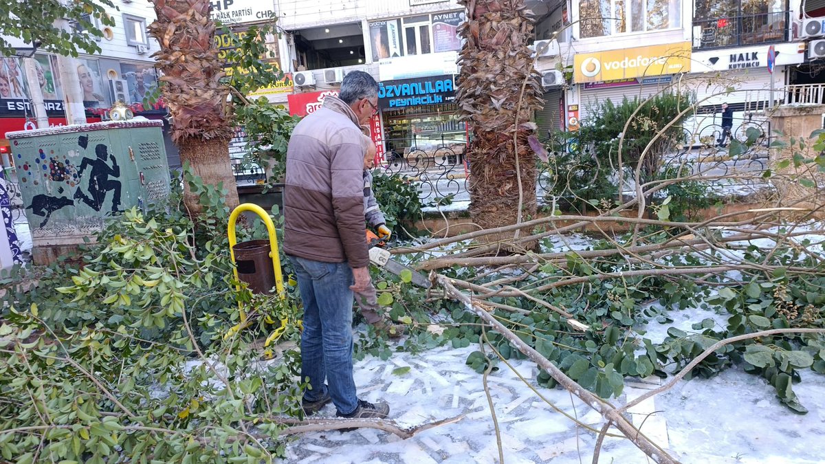 ☘️Park ve Bahçeler Müdürlüğümüze bağlı ekiplerimiz, parklarda halkımız için tehlike arz eden ağaçlara yönelik budama çalışmalarını aralıksız şekilde sürdürmektedir.
