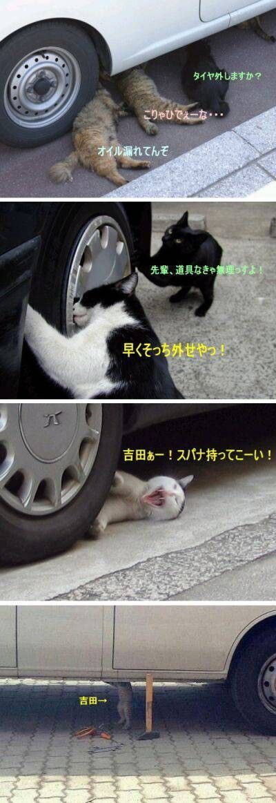 mei_situation's tweet photo. https://t.co/dJDSFVhW4X