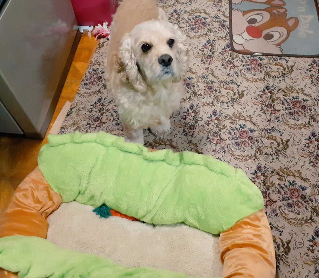 めるも「ボク うぃん、弟はエア 妹はエイル よろしくね