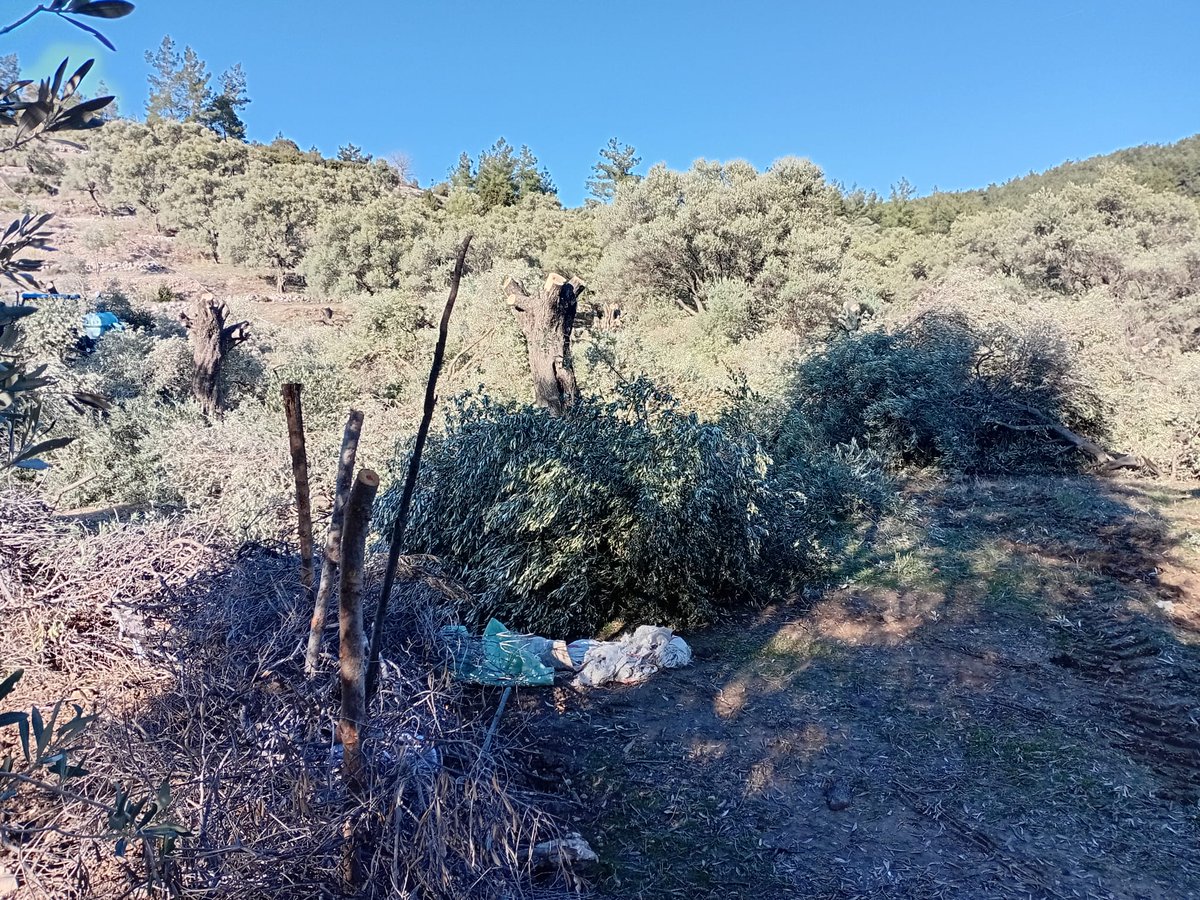 Yaratılacak yıkımın önüne geçebilmek için davacılar tarafından dava yeniden açılmıştır. Hukuka aykırılığın derinleşmesini ve telafisi imkânsız zararların büyümesini önlemek için acil yürütmenin durdurulması kararı verilmesinitalep ediyoruz.
İkizköy Kardok Derneği Basın Bilgi Notu