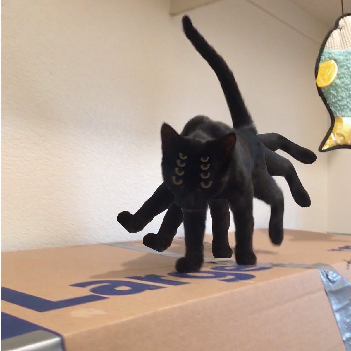 Punch Cat tweet media