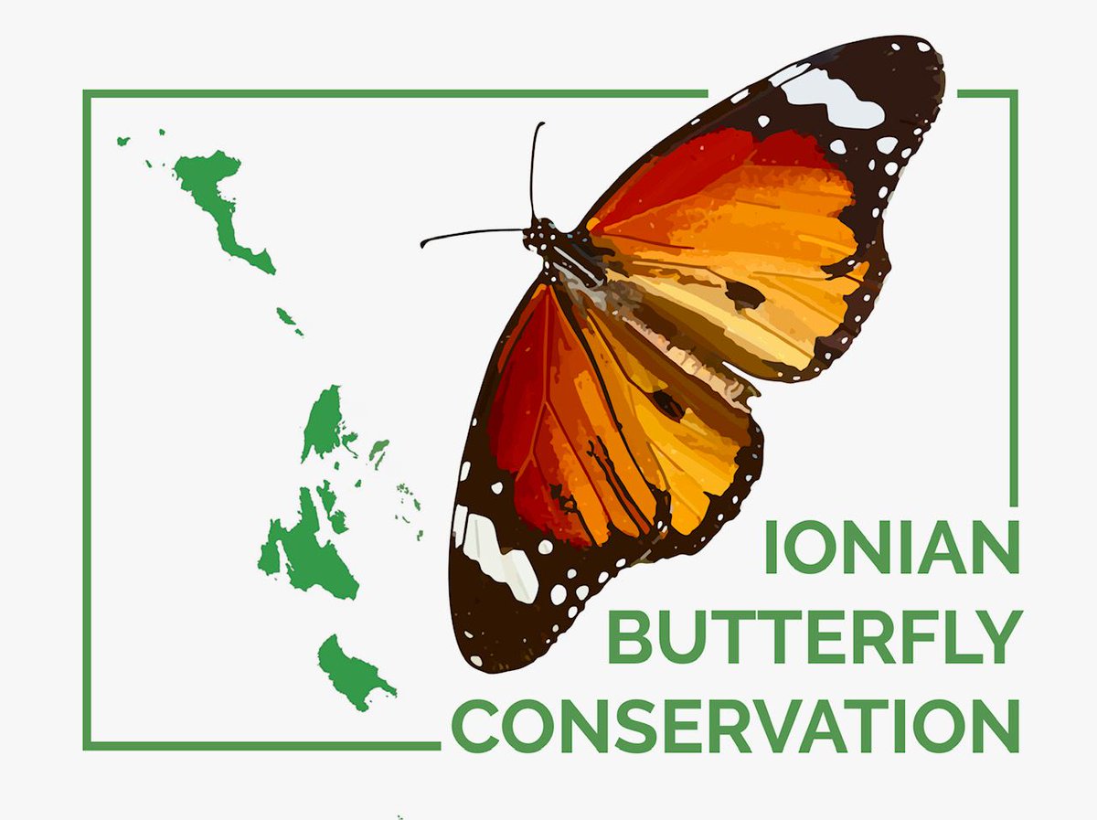 Butterfly Conservation 🦋 tweet media