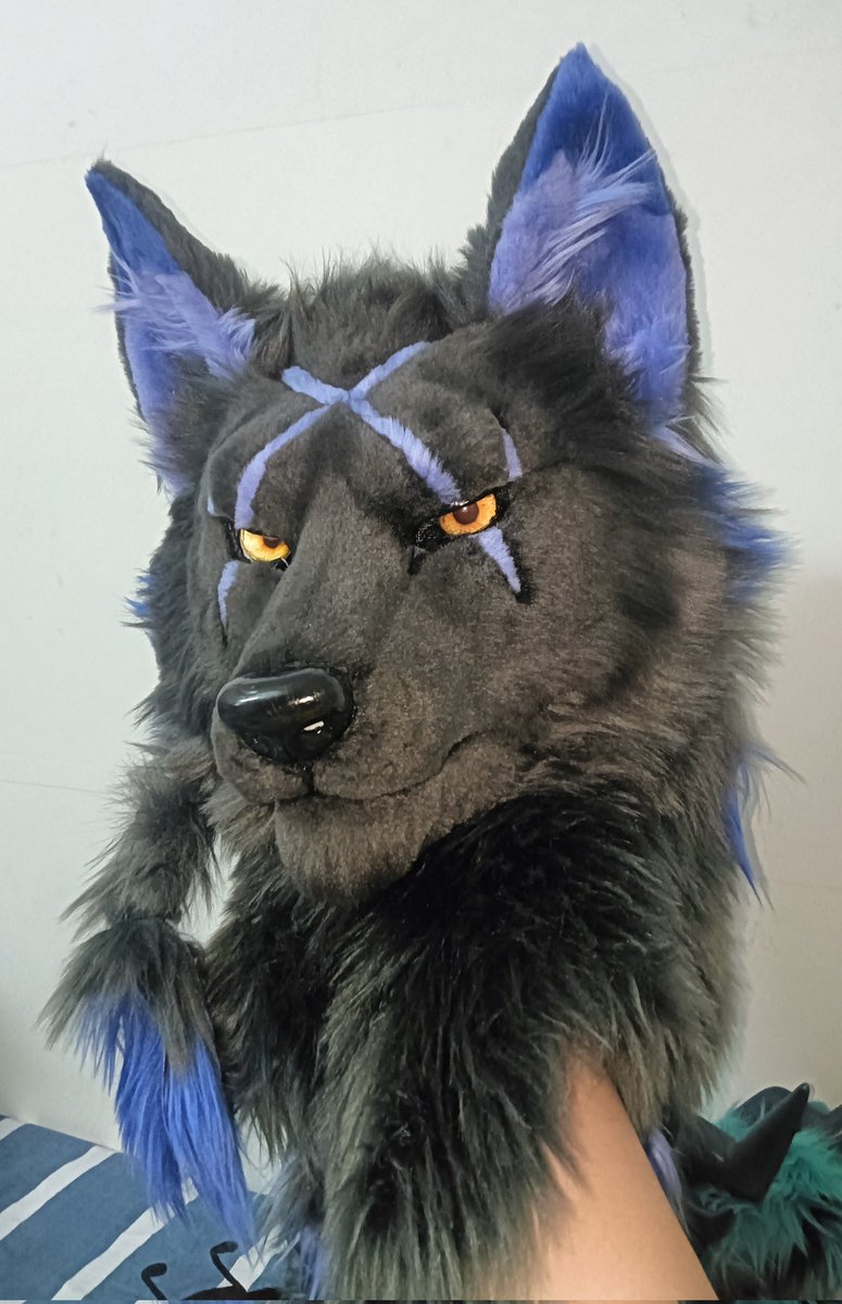 Black Wolf commission display.#furry #fursuit #fursuiter #fursuitmaker #fursuitforsale #fursuiting