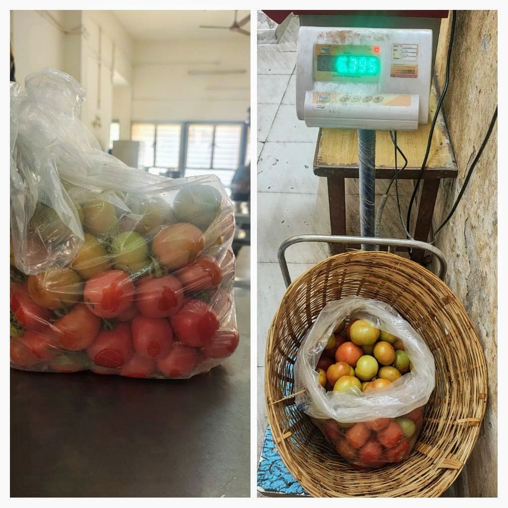 Himanshu_bio's tweet image. Kitchen garden tnau 
#Trending #kitchengarden #tnau