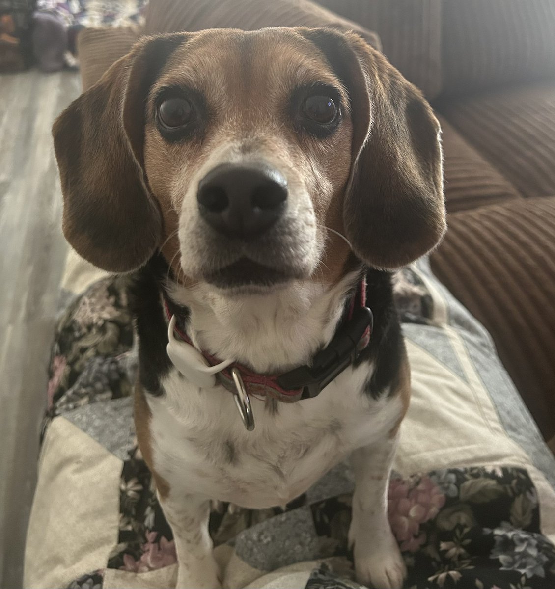 LolaPatolla's tweet image. When mom’s crying before 7am…😬🫣.
Some days are hard taking care a us.
#PoopExplosions #MomMeltdowns
#ThisTooShallPass