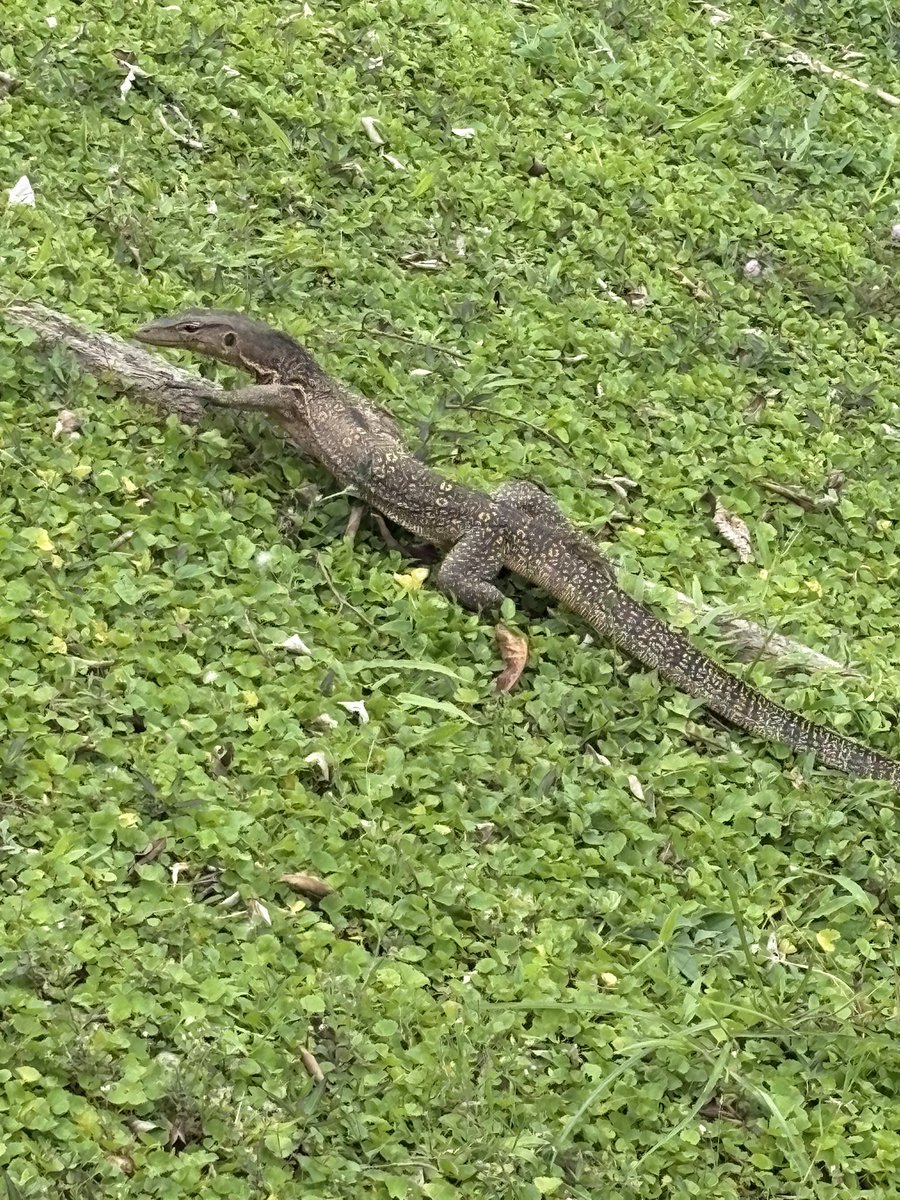 Roy Huff tweet media