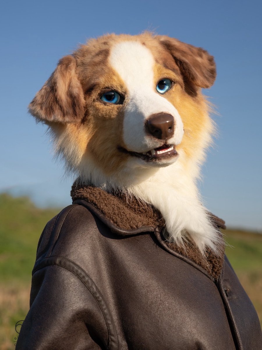 shippo crafts 🦊 シッポクラフツ (@shippocrafts_jp) / Posts / X