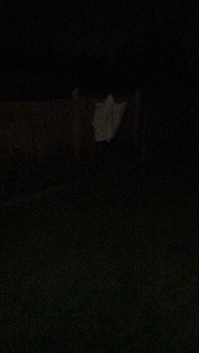 Dave Field 🇺🇦 tweet media