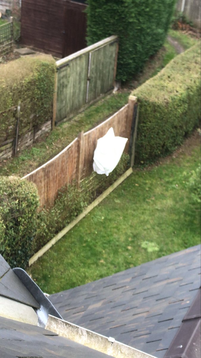 Dave Field 🇺🇦 tweet media