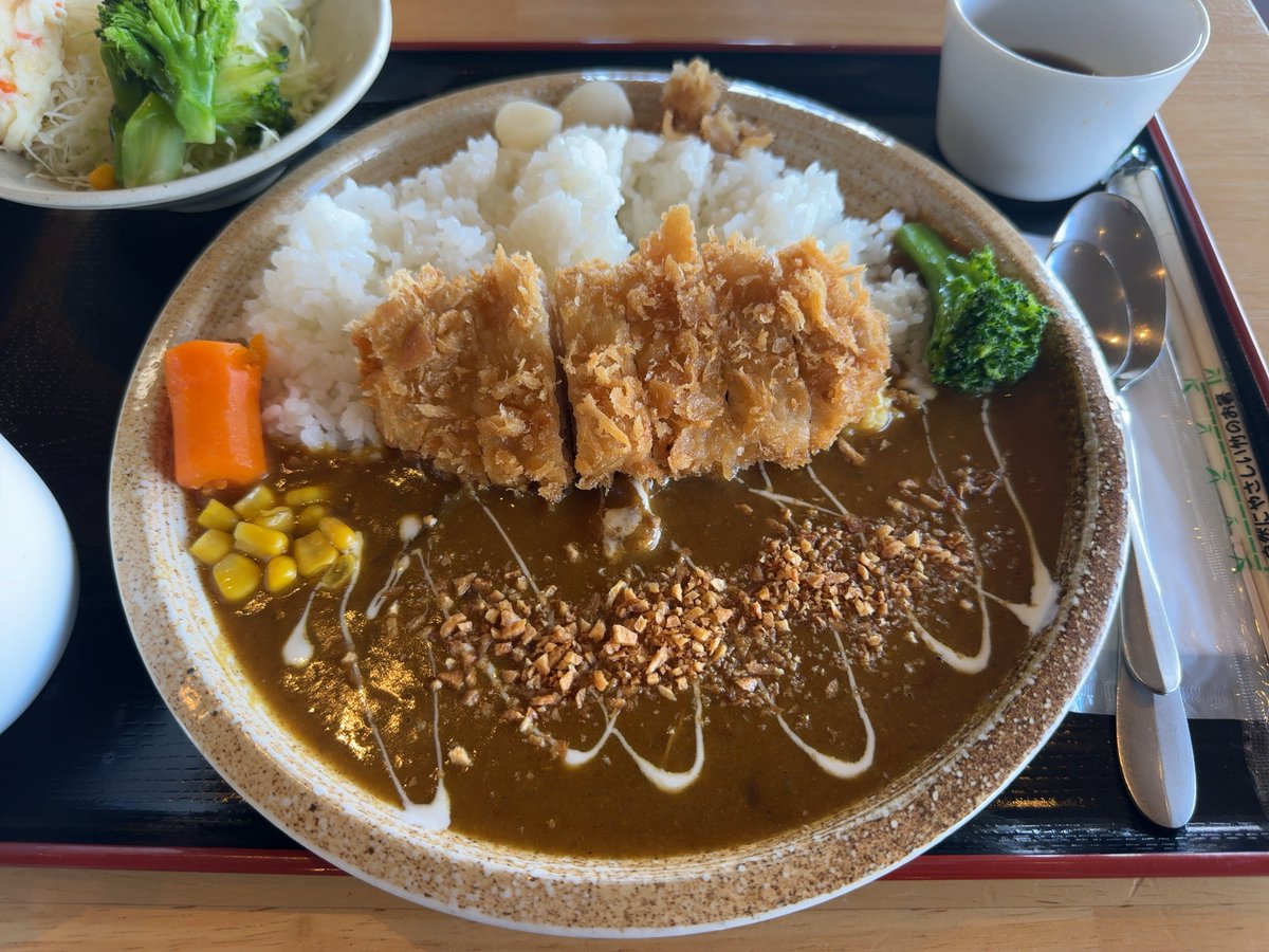 2025年に食べたカレーの中から特に美味しかったお店を4つご紹介。
・ぎおん（いちき串木野市）
・木花家（姶良市）
・スリランカかごしま（姶良市）
・カフェテラスハナノキ（南大隅町）
#鹿児島グルメ #カレー