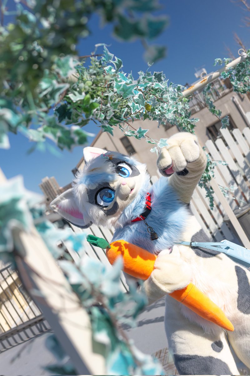 卯ノ狛(うのは)👾 tweet media