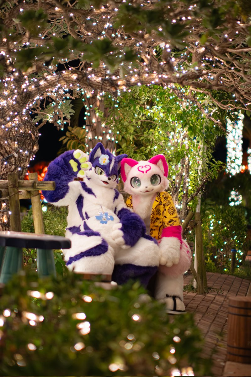 卯ノ狛(うのは)👾 tweet media