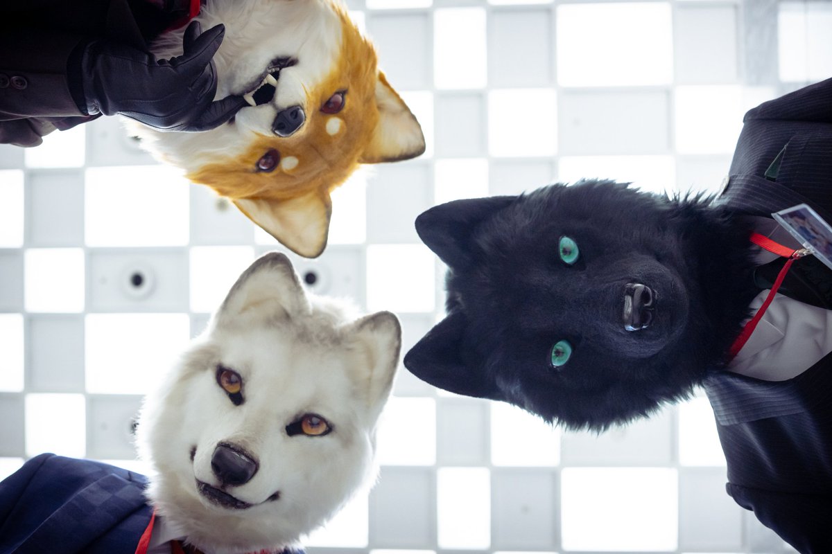 卯ノ狛(うのは)👾 tweet media