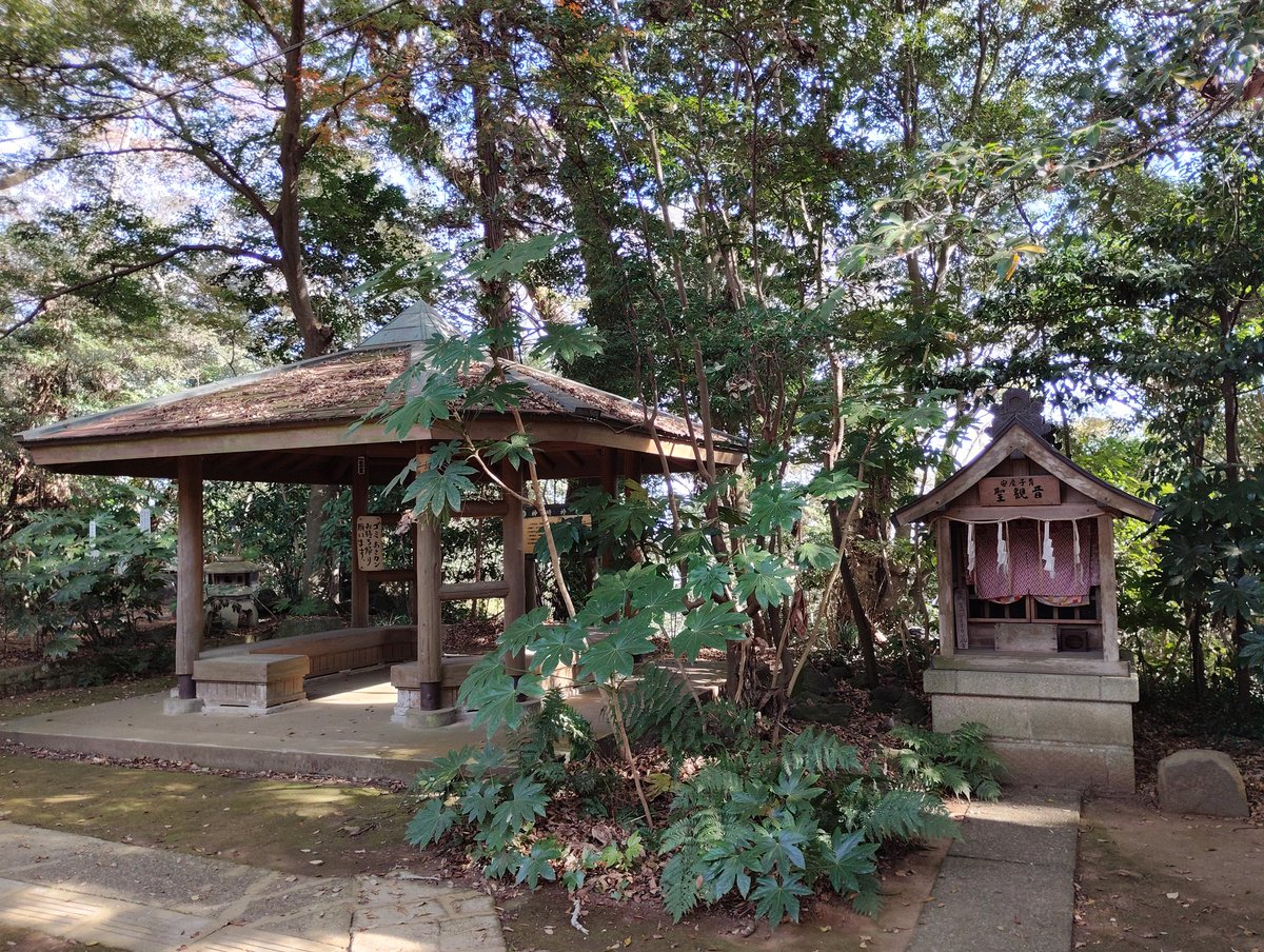 fw5429's tweet photo. 神崎神社
神崎神社は天鳥船神を御祭神とする神崎町の神社です。隅田川近くの隅田川神社なども天鳥船神を御祭神とする神社です。神崎神社も利根川近くに鎮座します。拝殿の脇にある御神木・なんじゃもんじゃの木は大変立派です。御朱印は拝殿にある書置をいただきました。
＃神崎　＃御朱印 https://t.co/JUio9FEhJ6
