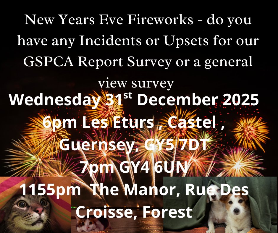 New Year Eve Firework Events - do you have any incident or Upsets for our Report Survey or a general view survey
The known events and times are as follows for Wednesday 31st December 2025
6pm Les Eturs , Castel GY5 7DT
7pm GY4 6UN
1155pm The Manor, Forest
gspca.org.gg/blog/new-year-…