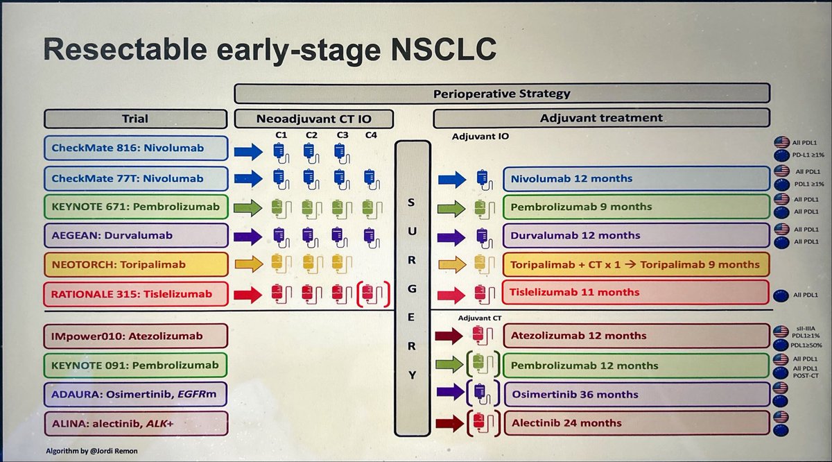 Jordi Remon tweet media