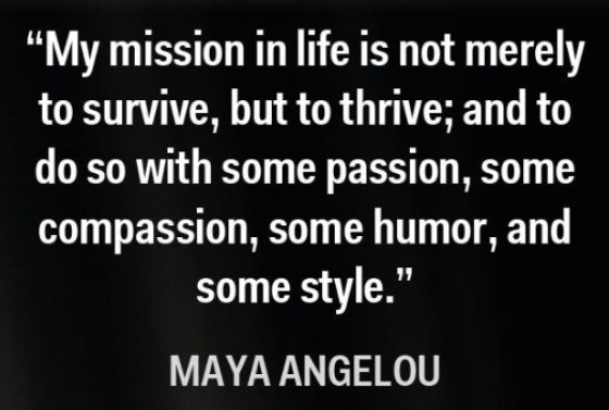 mshannon74's tweet image. Another year is winding down. Time to start thinking of some New Year's resolutions.  Cheers, Peter. It's always a treat to see your posts!