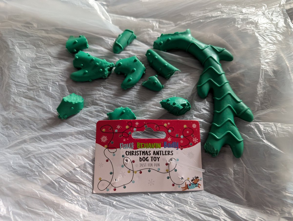 eaevans1990's tweet photo. @Poundland  barley would like to make it known her toy did not last more than 5 minutes and she didn't chew it. She says her best friend Brody bought it for her from your shop. With her ho ho ho ball and cracker all still in one piece. https://t.co/7Iey1nZumV