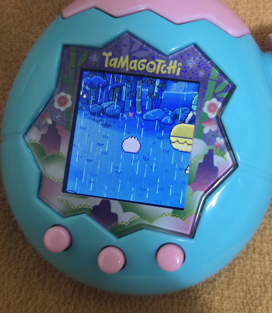 아니 얘 지그 케어 안해줬다고 삐져서 등돌리고있는거임?? ㅋㅋㅌㅋㅋ