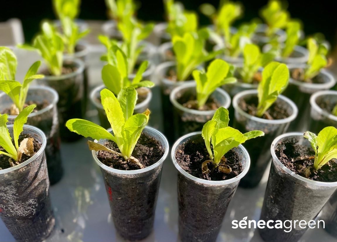 Seneca Green Agro tweet media