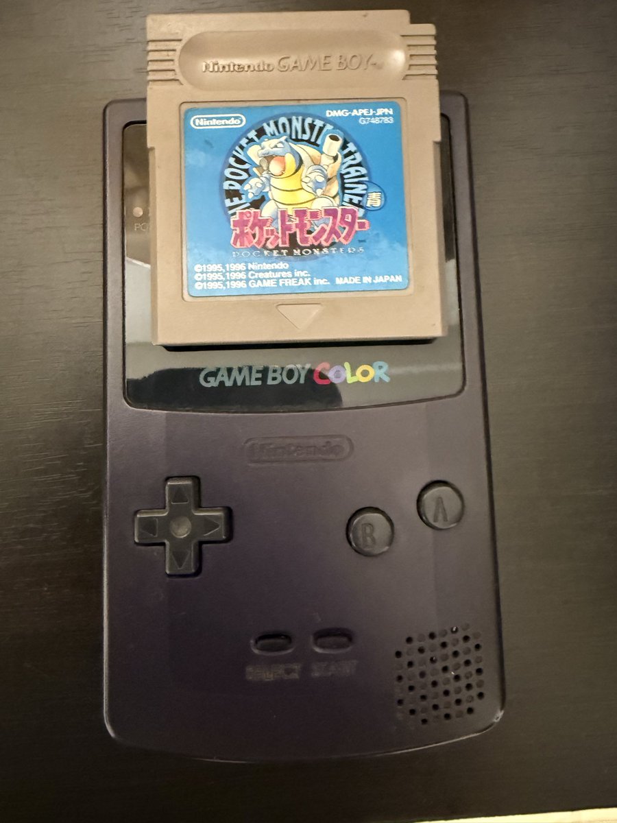 片付け中に激レア発見