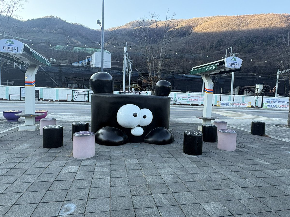 다들 연말 마무리 잘하세요~❤️
전 눈때문에 올해는 술한잔도 못하네용🤣

맛난거 많이드시고.. 2026년은 다들 복많이 잗으시고!!!!! 건강하세요!!!!! 
아무리생각해도 건강이 최고인거 같아요😊☺️

#태백