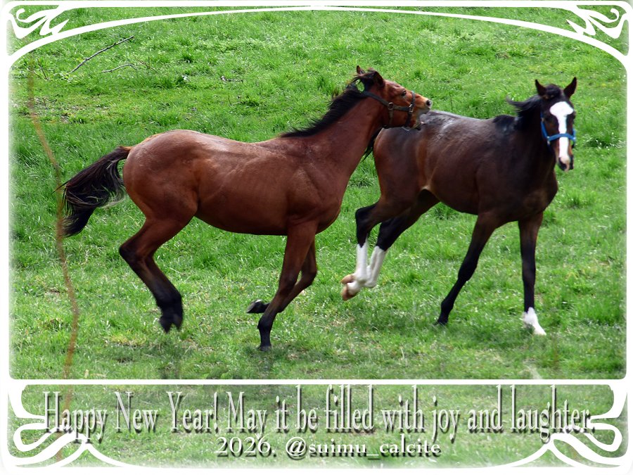 すーさん@誤字多め (@suimu_calcite) / Posts / X