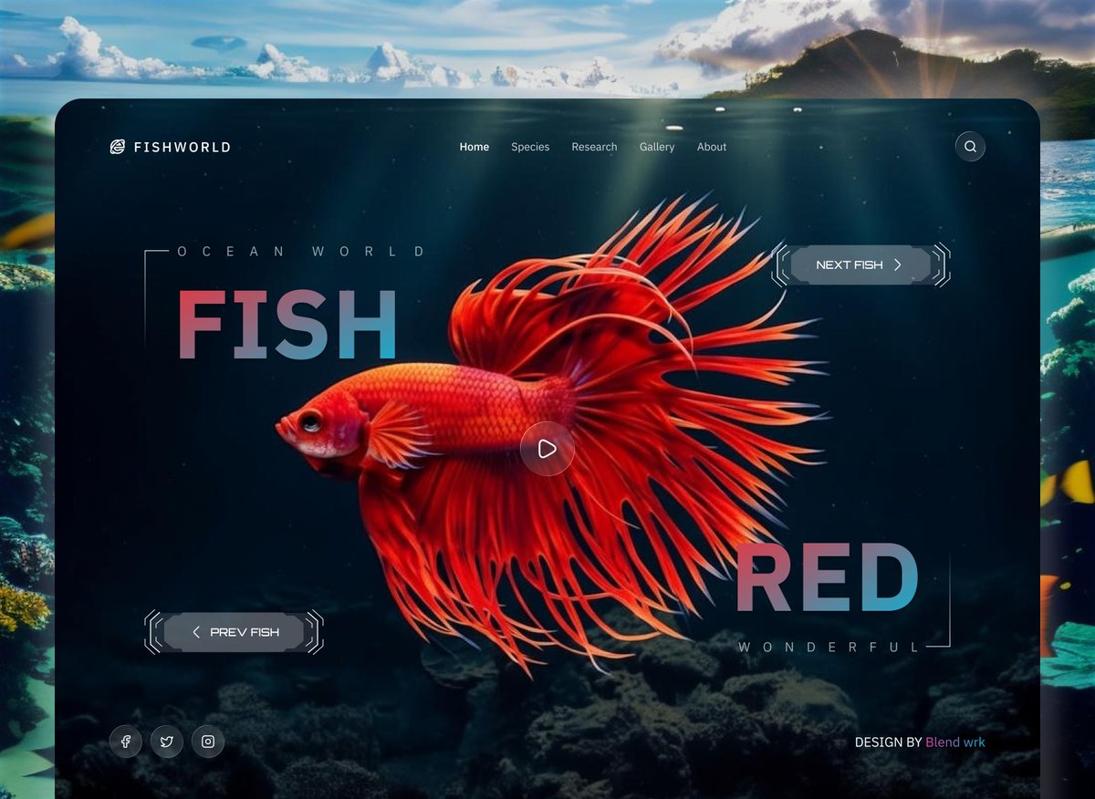 helloalamin9's tweet photo. 🐠🌊 Fish Species Website UI – Underwater Experience ✨
Thank you for checking out my latest design concept! 🙏
💬 Telegram: https://t.co/0padyjWKXU
📱 WhatsApp: https://t.co/PReCdtyzbr
#WebsiteUIDesign #FishSpecies #UnderwaterUI #MarineLife #UIUXDesign #WebDesign https://t.co/V9woIF64Fx