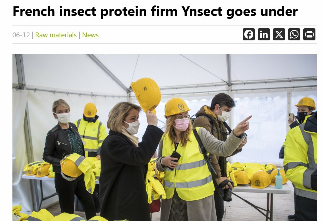 fleroy1974's tweet image. French company Ÿnsect goes bust after its $600M bet on insect protein.

Also: "The company’s founders promised a bright future with the creation of at least 4,000 new jobs in 10 years’ time, but never got any further than some 250 employees."
allaboutfeed.net/animal-feed/ra…