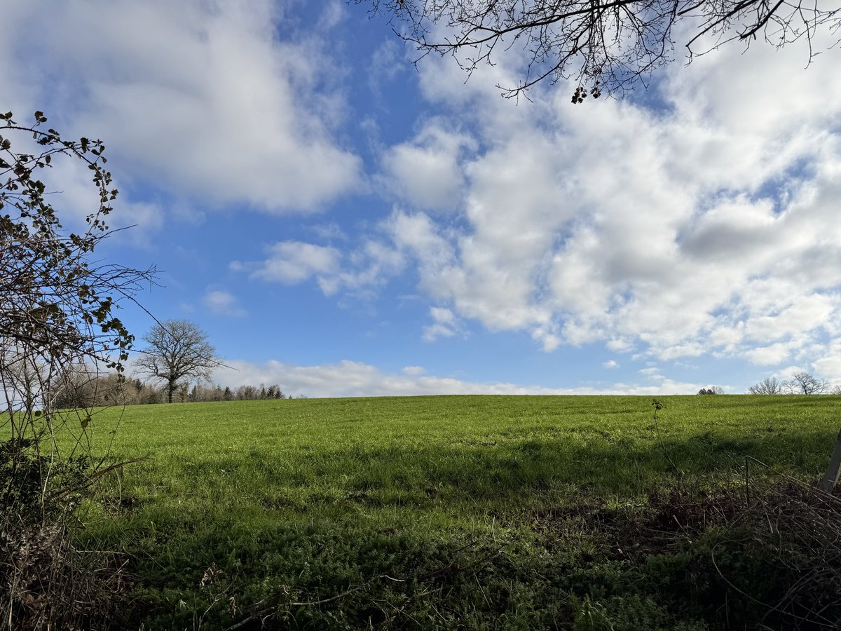 C’est beau comme un fond d’écran Windows95 !