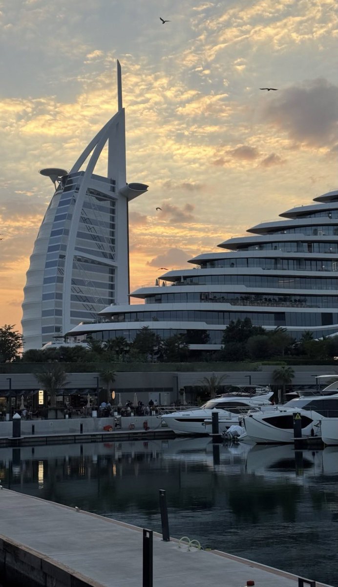 𓄃 ᓚ⅃І͛jċɺІ͛ ᘓᓆɹ̇Ը︎ tweet media