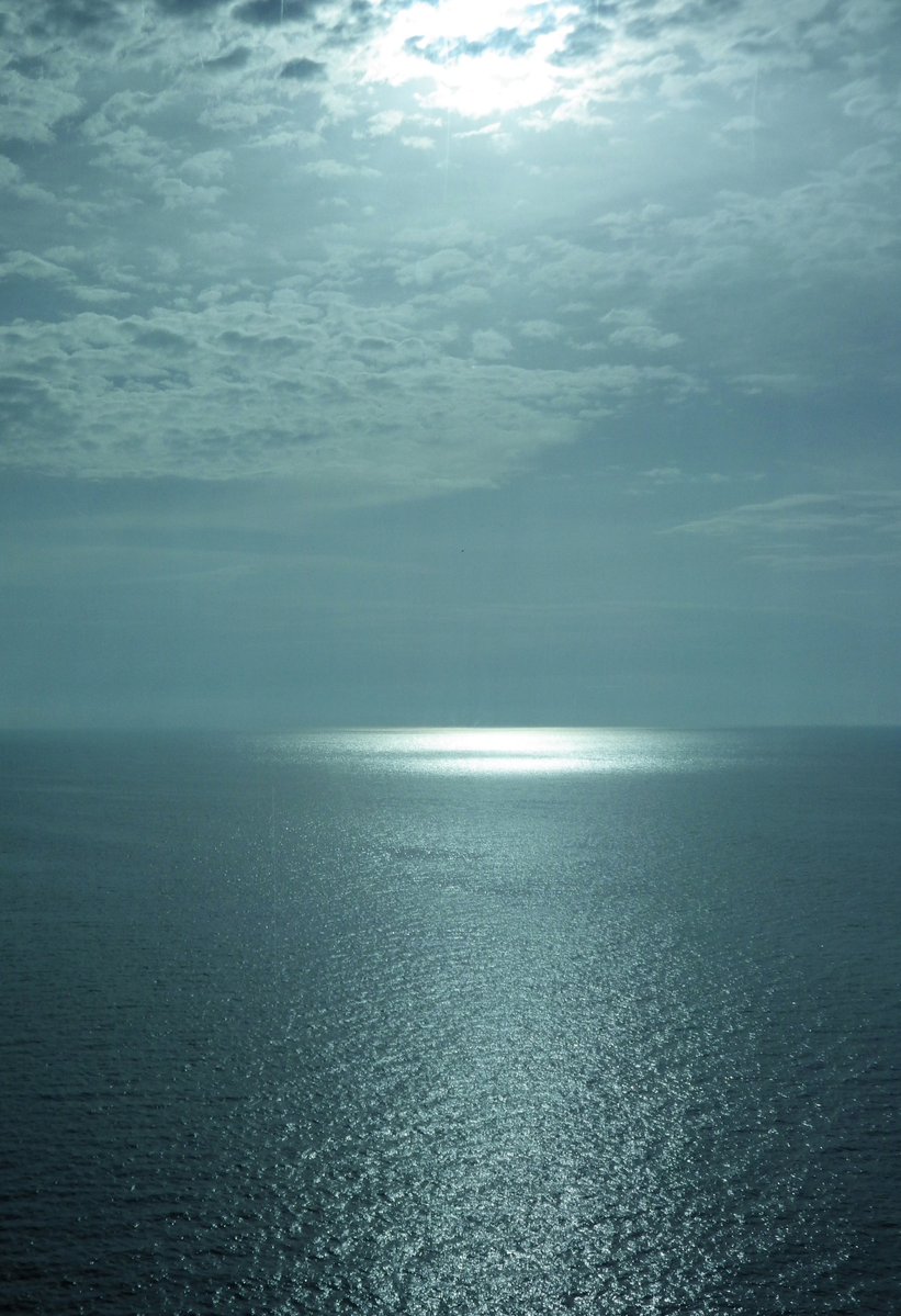 sun (@sun1358481) on Twitter photo 